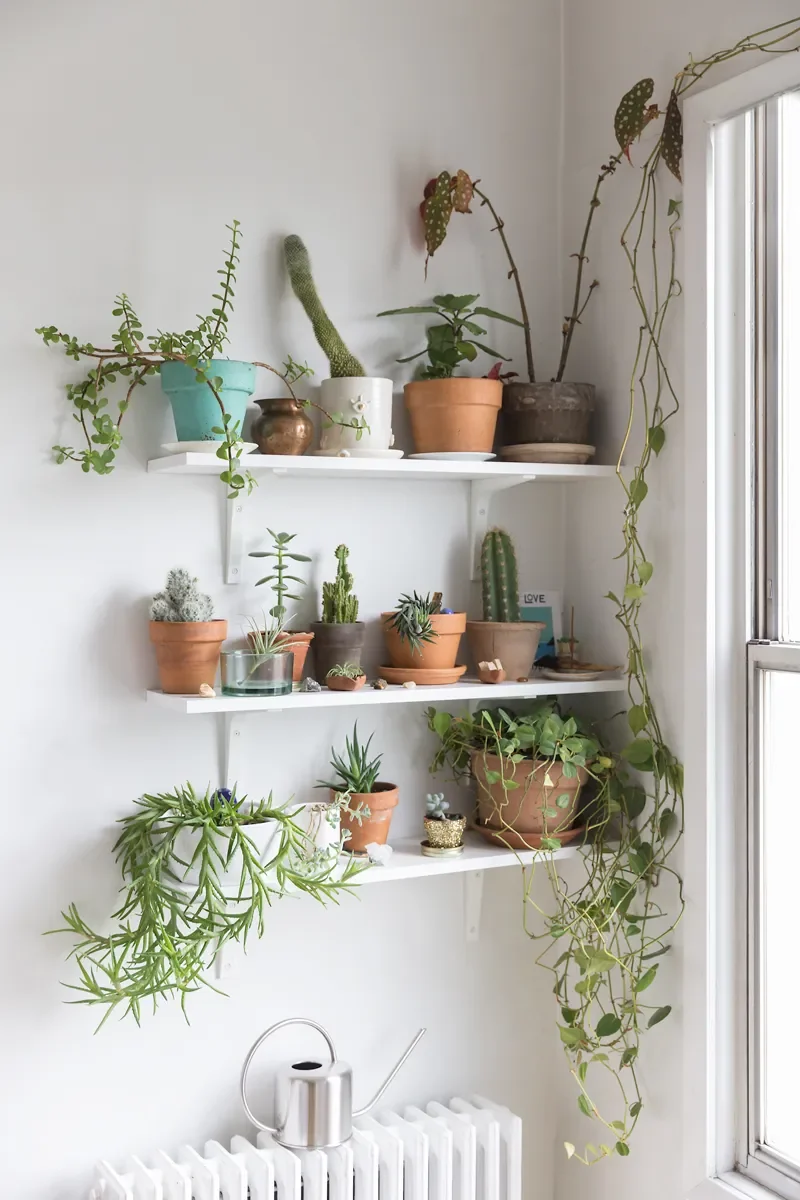 Good News: You Already Have Everything You Need to Live a Sustainable Life