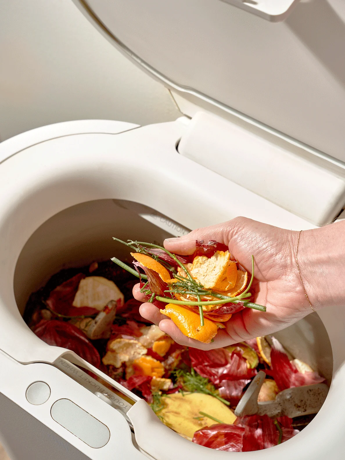 I Recycled 400 Pounds of Food Scraps in a Year Thanks to This Chic Appliance