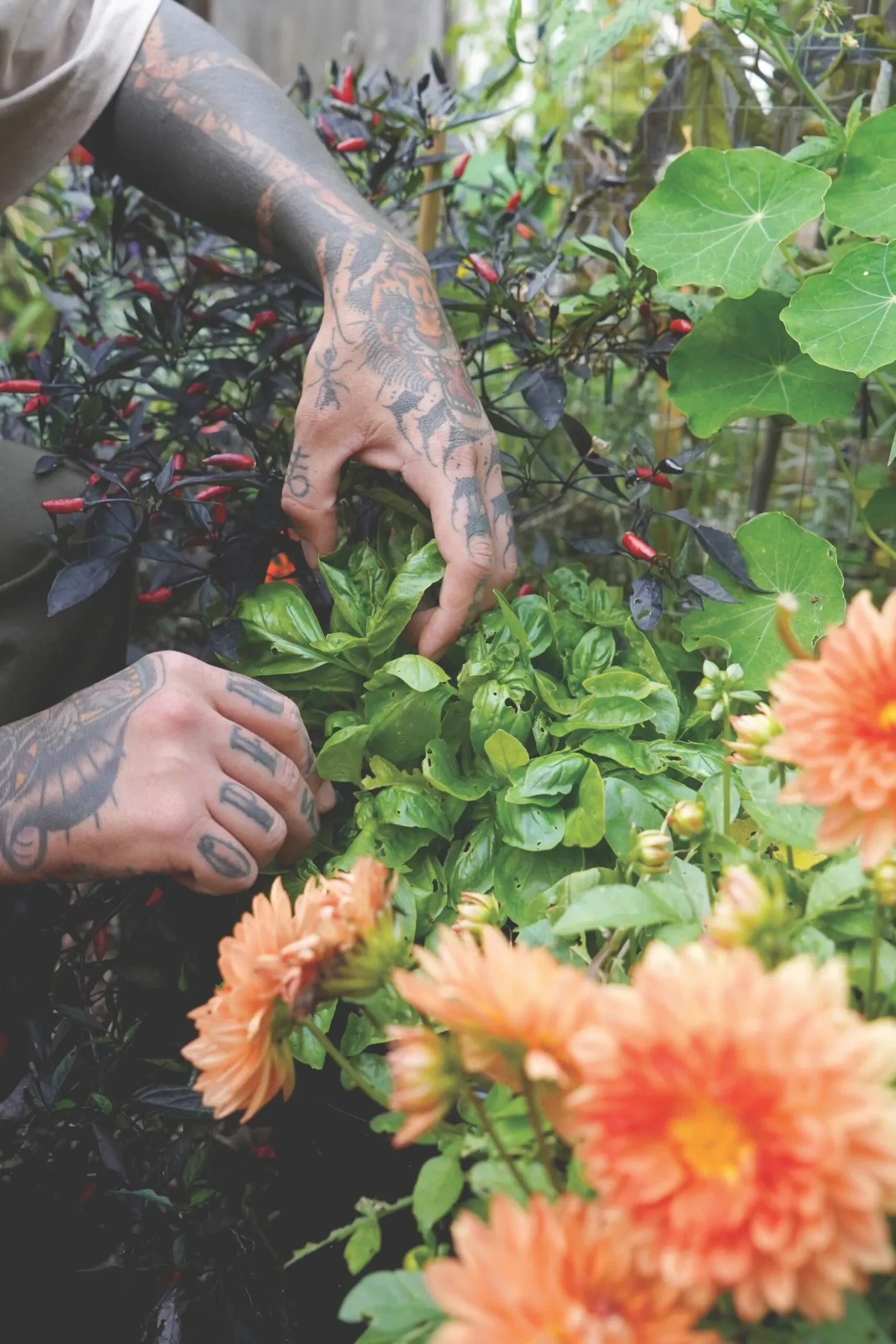 No-Dig Gardening Is as Low-Maintenance as It Sounds—And It’s Good for the Earth, Too