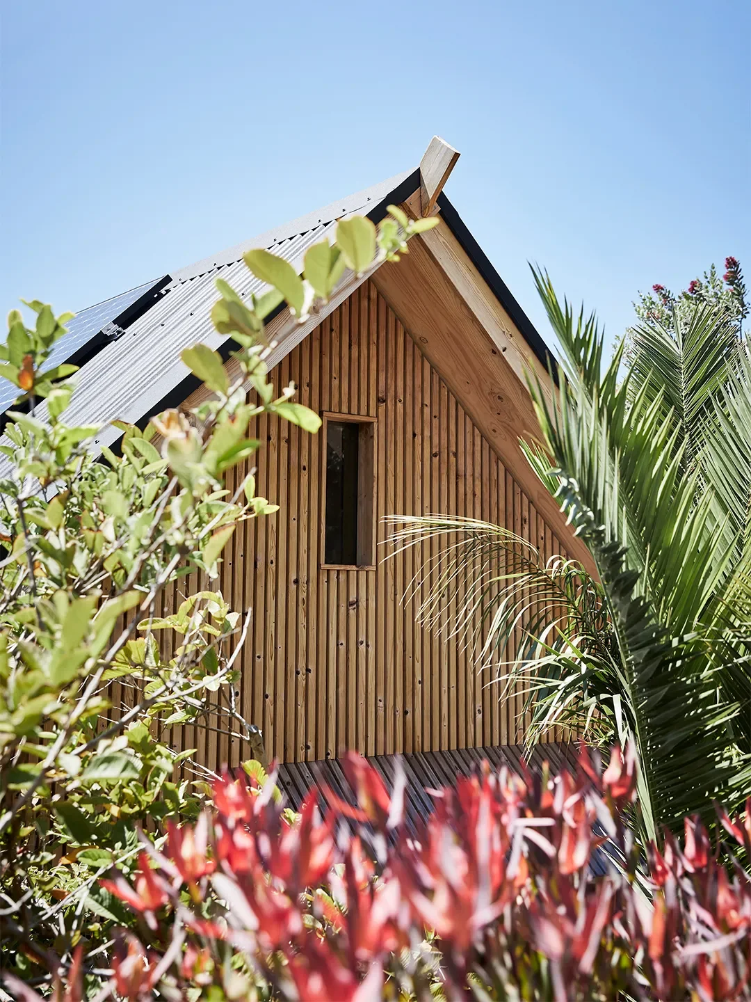 This Tiny Cabin Overlooking the Cape Town Surf Was Assembled in Under 3 Weeks